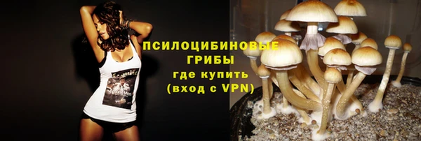 твердый Нефтекумск
