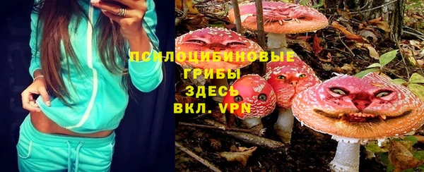 твердый Нефтекумск