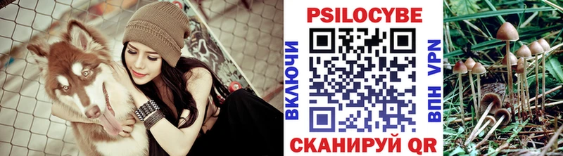 Псилоцибиновые грибы ЛСД  дарнет шоп  blacksprut онион  Сафоново 