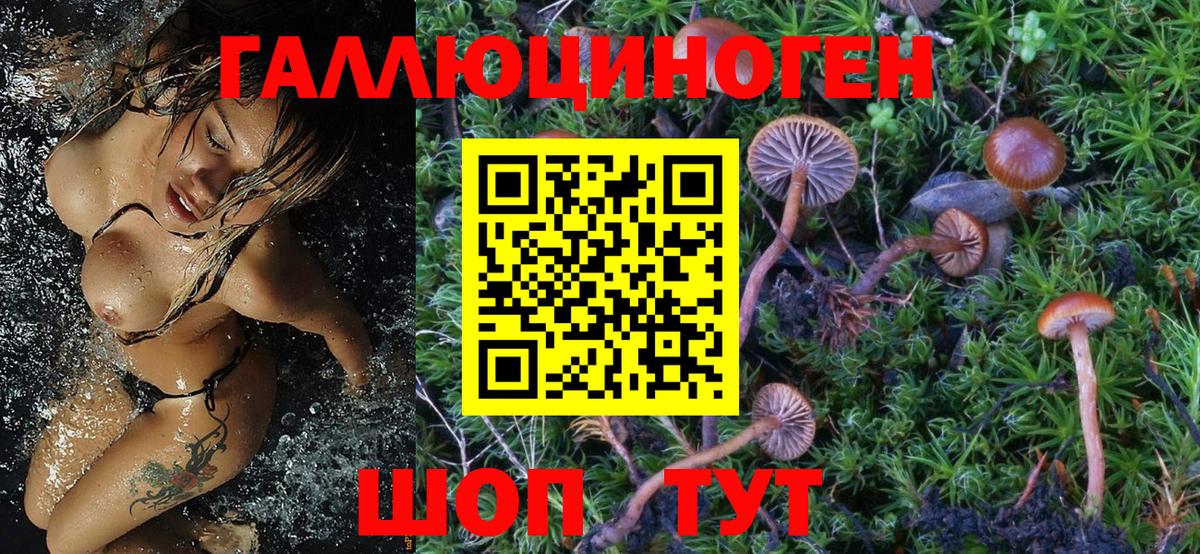 Псилоцибиновые грибы Magic Shrooms Сафоново