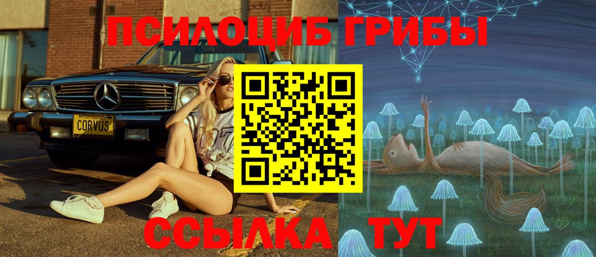 Псилоцибиновые грибы мицелий  Вход с VPN  Псилоцибиновые грибы прущие грибы  Сафоново 