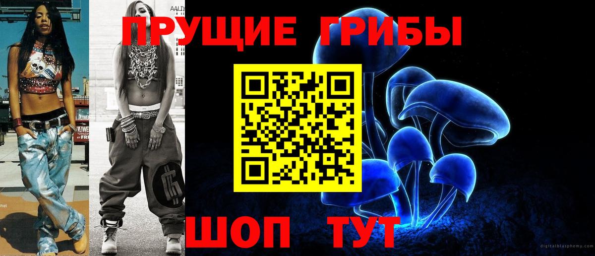 Псилоцибиновые грибы Psilocybe Сафоново